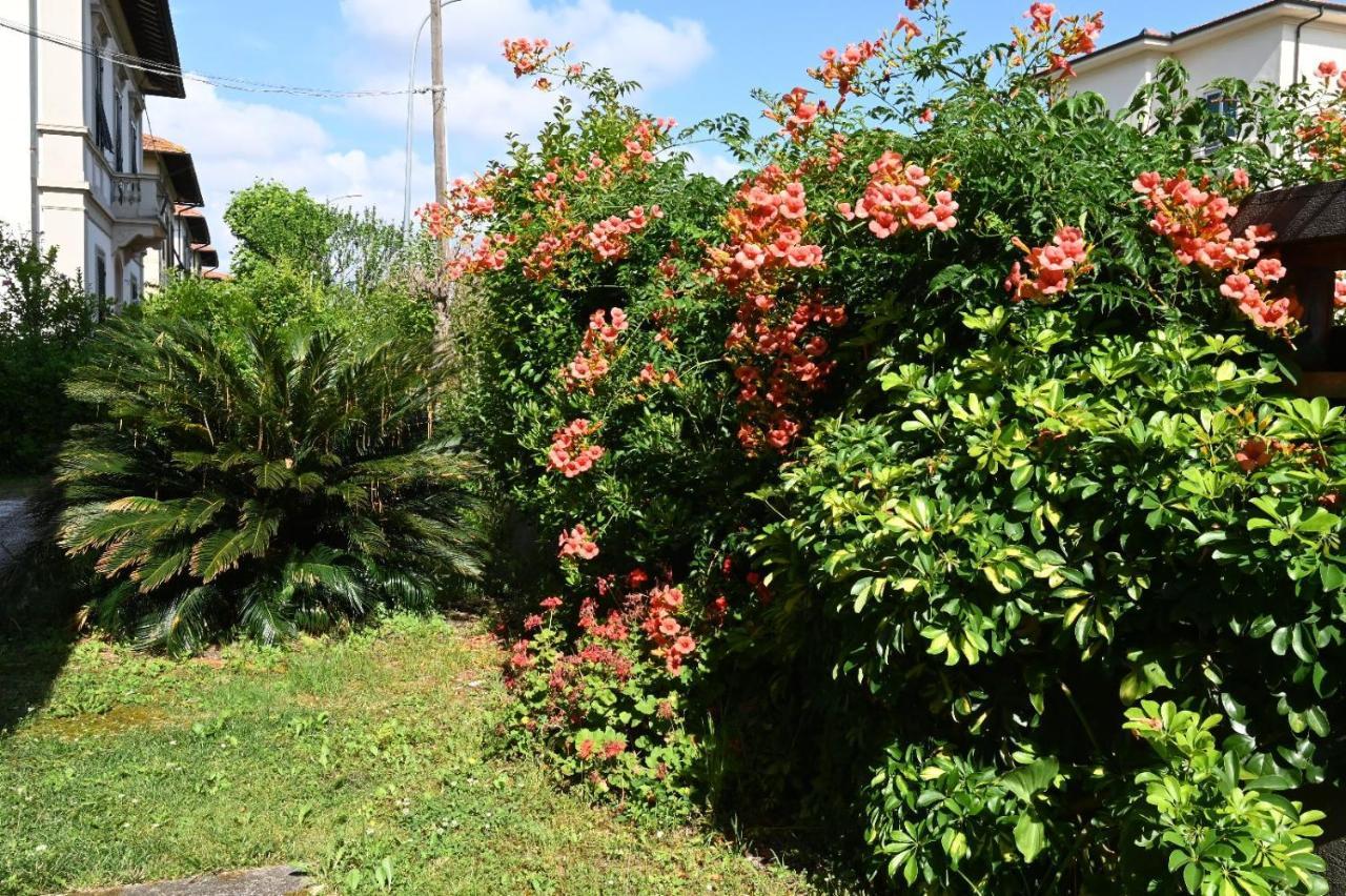 פיזה Villa Mehari מראה חיצוני תמונה