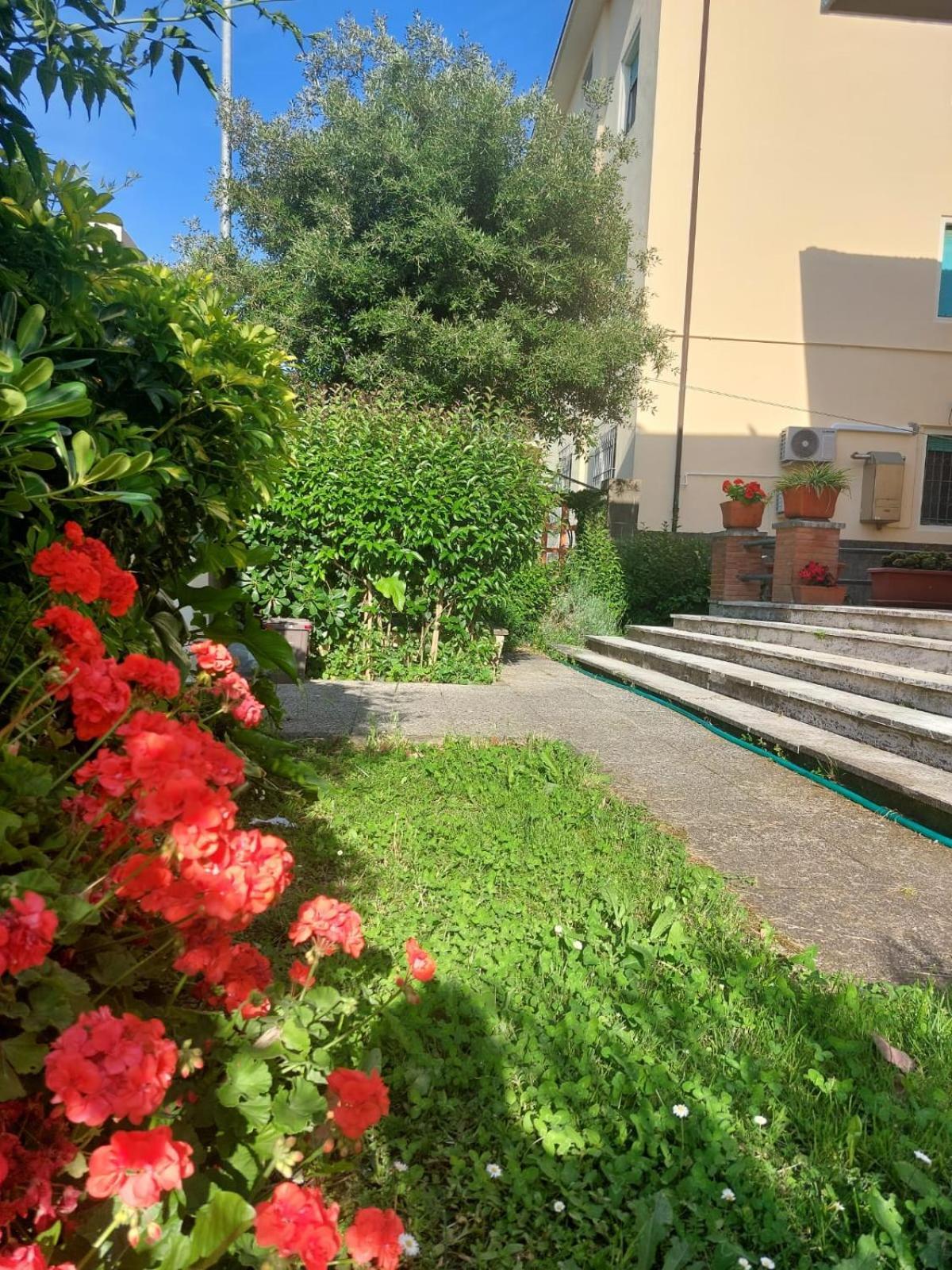 פיזה Villa Mehari מראה חיצוני תמונה