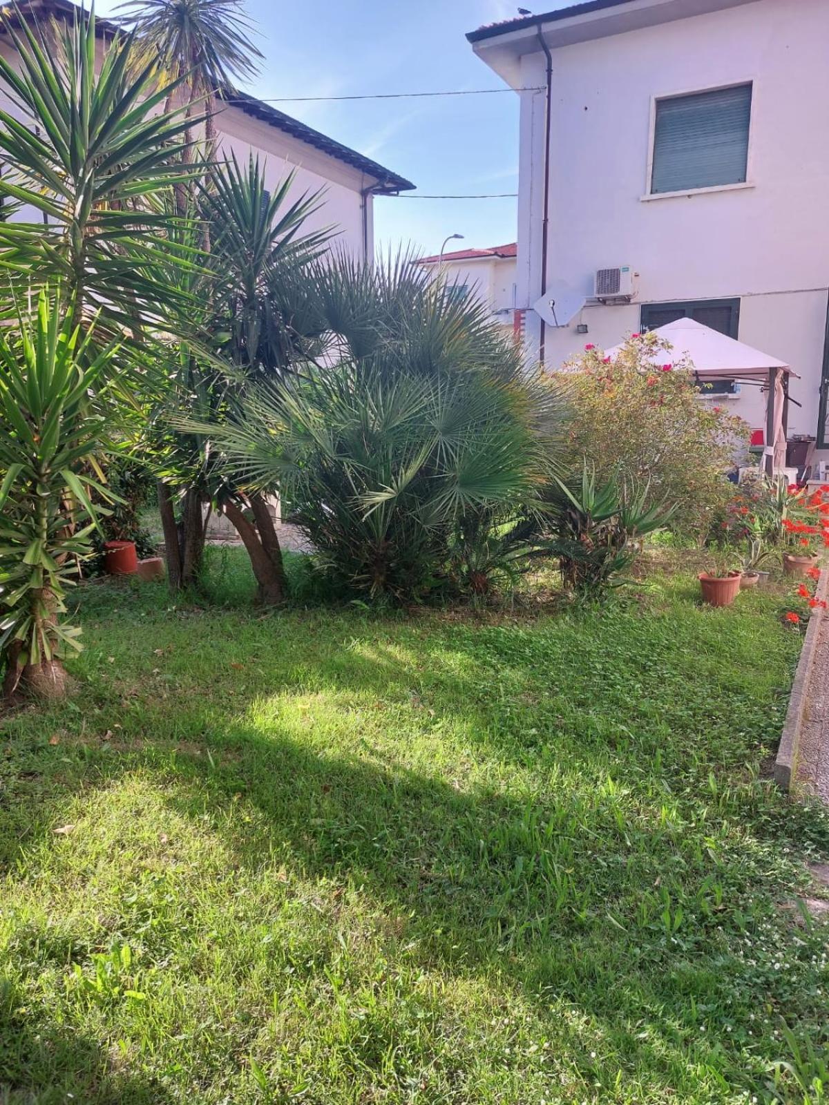 פיזה Villa Mehari מראה חיצוני תמונה