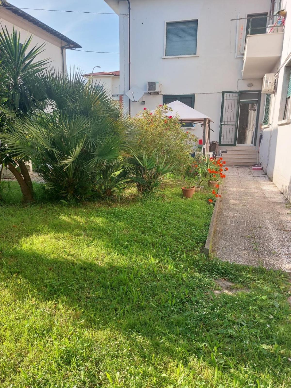 פיזה Villa Mehari מראה חיצוני תמונה