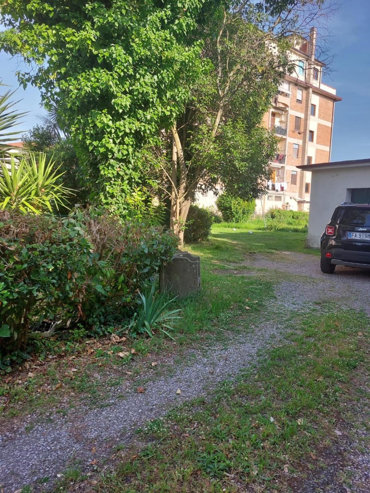פיזה Villa Mehari מראה חיצוני תמונה