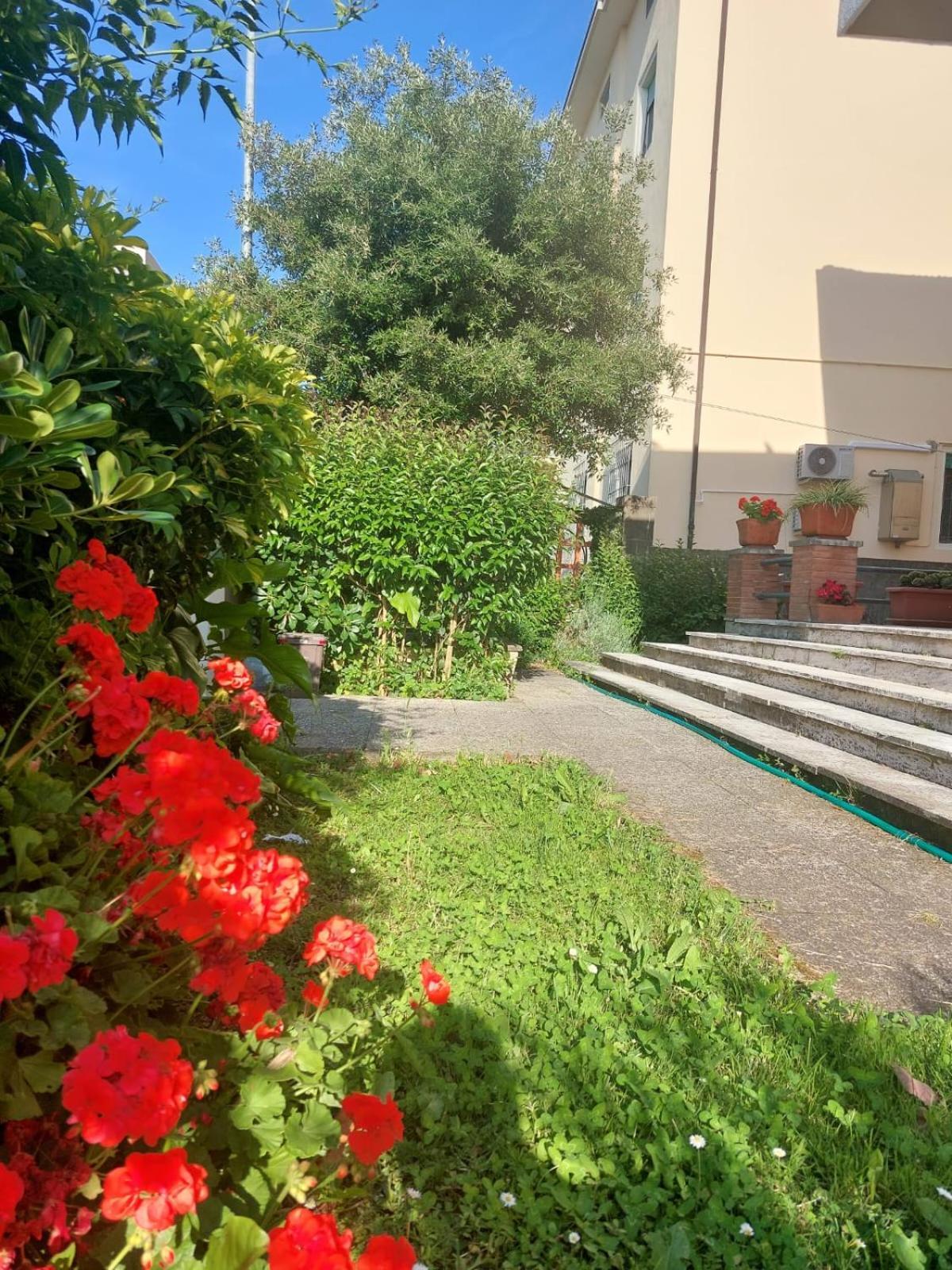 פיזה Villa Mehari מראה חיצוני תמונה