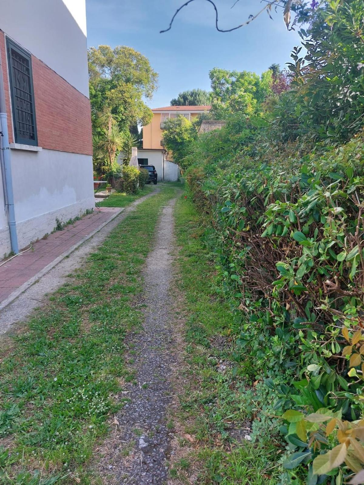 פיזה Villa Mehari מראה חיצוני תמונה